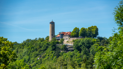 Blick zum Fuchsturm - Eins der sieben Wunder Jenas © JenaKultur, Foto: Christian Häcker