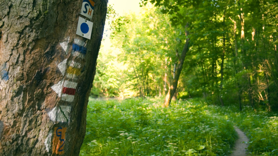 © JenaKultur, Foto: Frits Meyst Wanderweg in Jena mit Streckenmarkierungen © JenaKultur, Foto: Frits Meyst