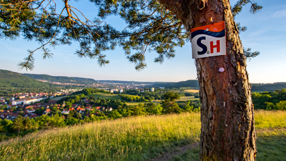© JenaKultur, Foto: Christian Häcker Ausschilderung des Wanderwegs SaaleHorizontale mit Blick auf die Tagungsstadt Jena © JenaKultur, Foto: Christian Häcker