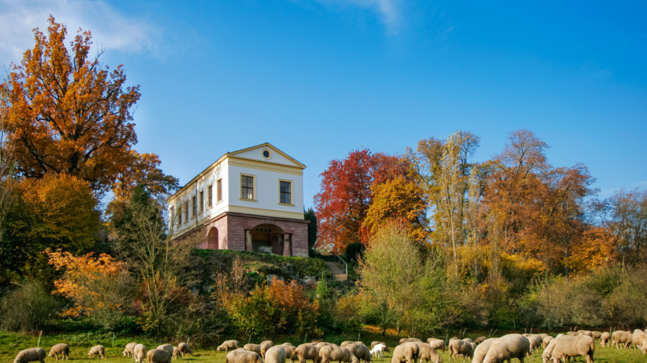 © weimar GmbH, Foto: Matthias Eckert Römisches Haus im Ilmpark mit Schafherde im Vordergrund © weimar GmbH, Foto: Matthias Eckert