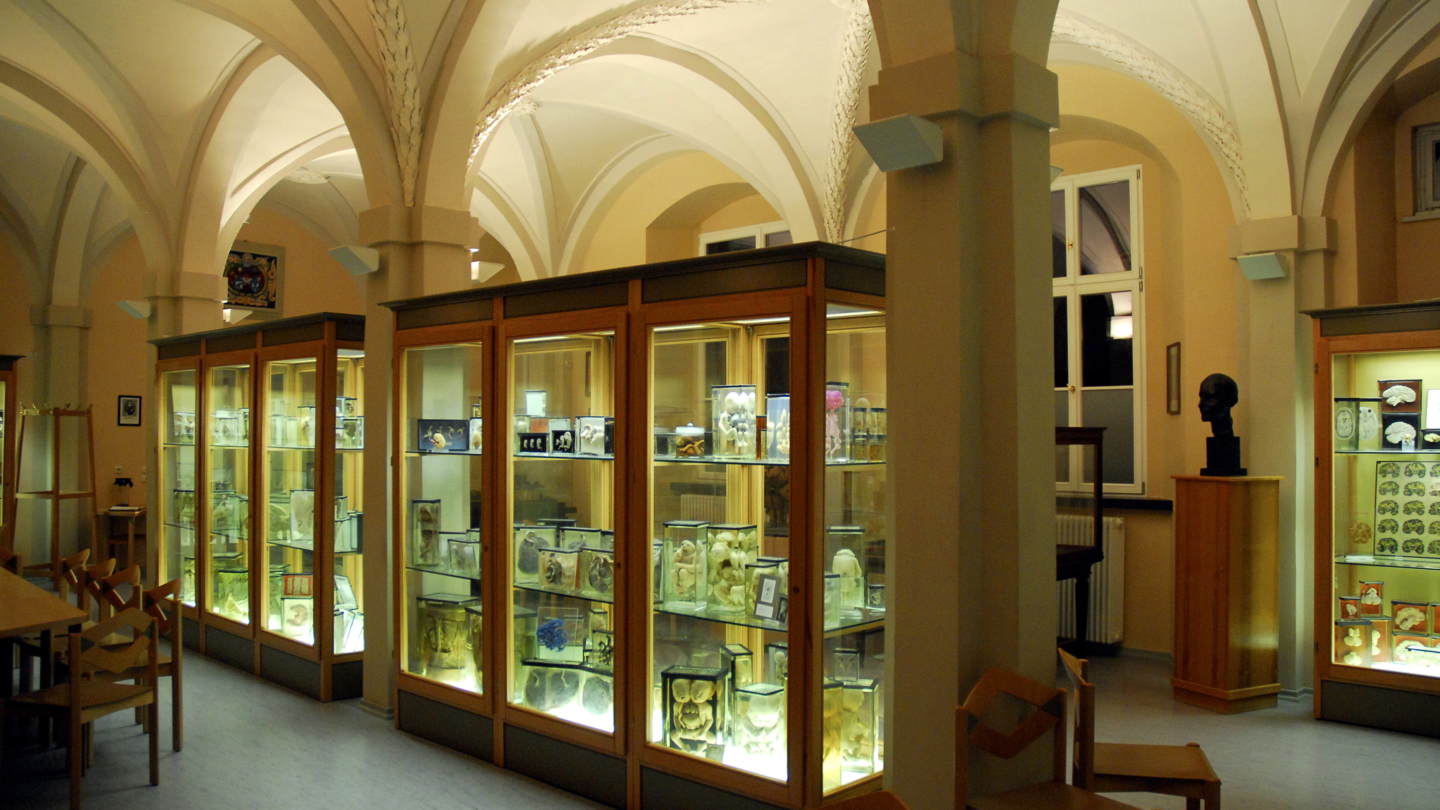 Anatomische Sammlung des Universitätsklinikums Jena - Fachbesuch Jena © UKJ, Foto: Hans-Georg Schröder