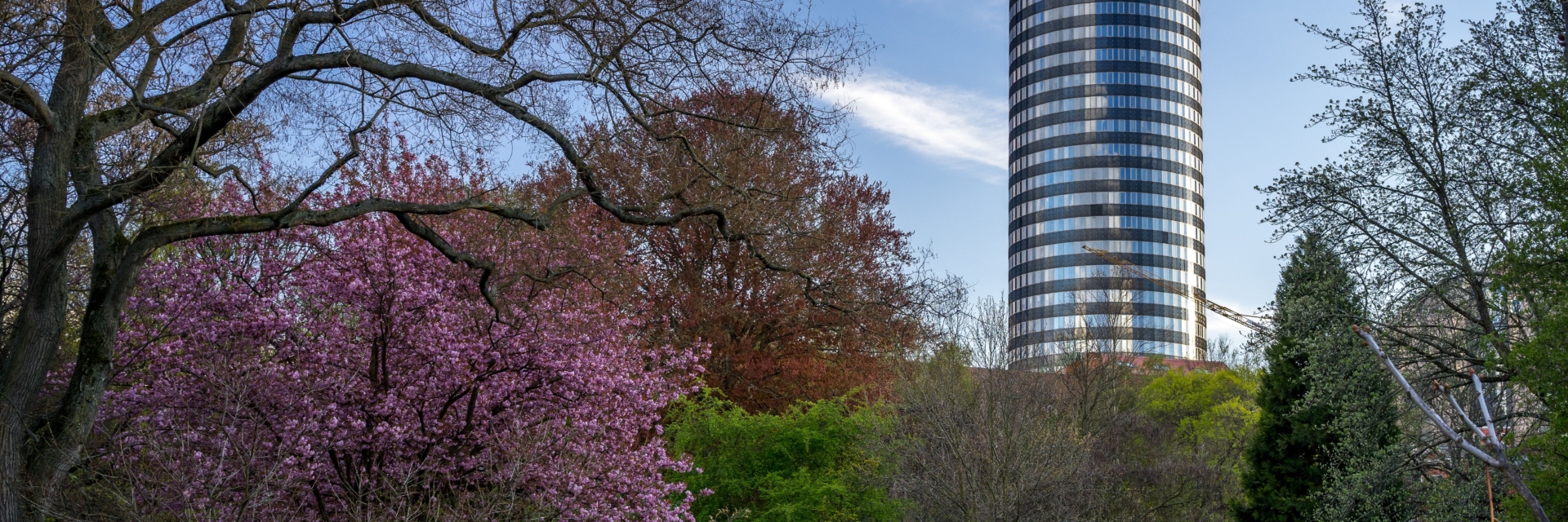 Jena im Frühling - Botanischer Garten