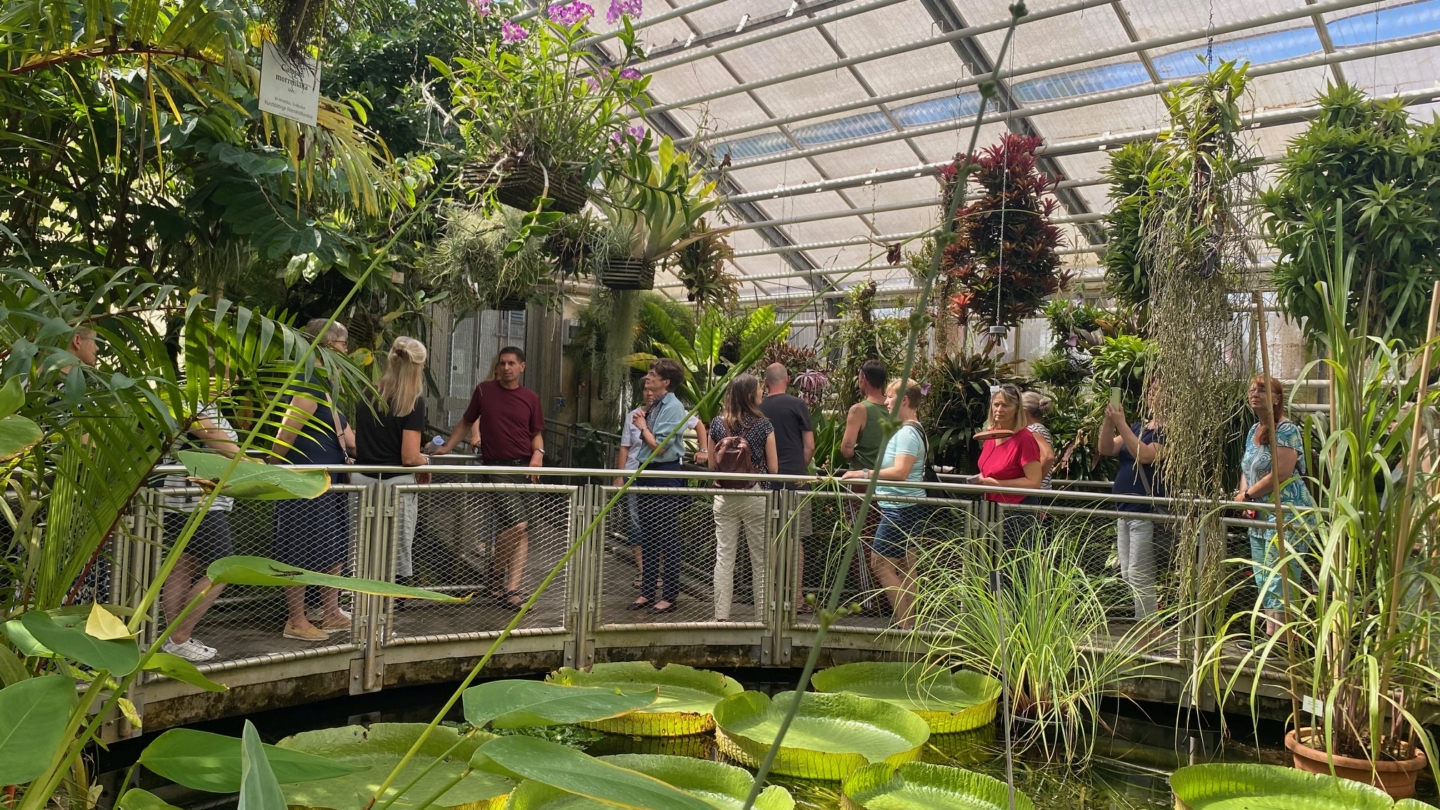 Get-Together im Gewächshaus des Botanischen Gartens Jena©JenaKultur_Foto: Jenny Marx