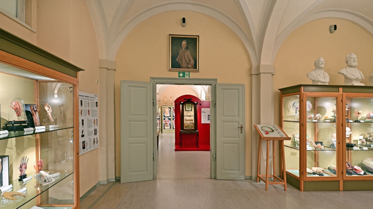 Dauerausstellung in der Anatomischen Sammlung der Friedrich-Schiller-Universität und des Universitätsklinikums Jena